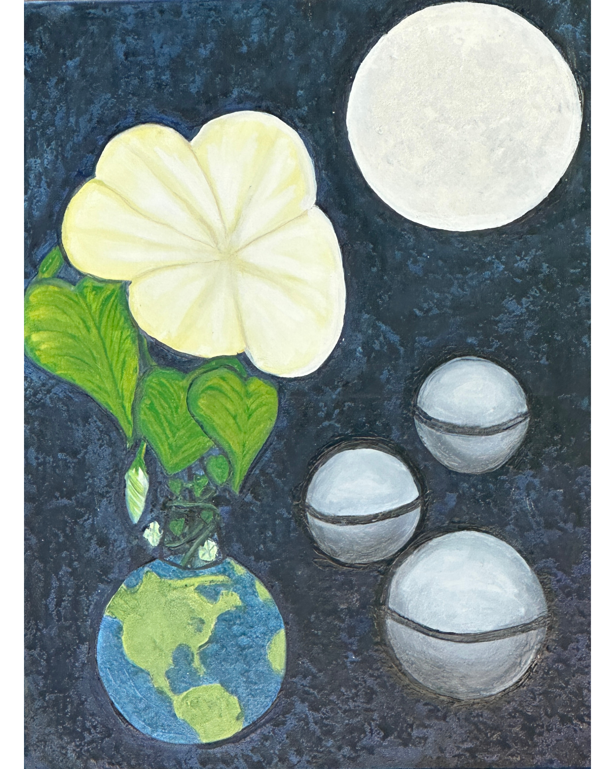 Cover Image for Moonflowers
